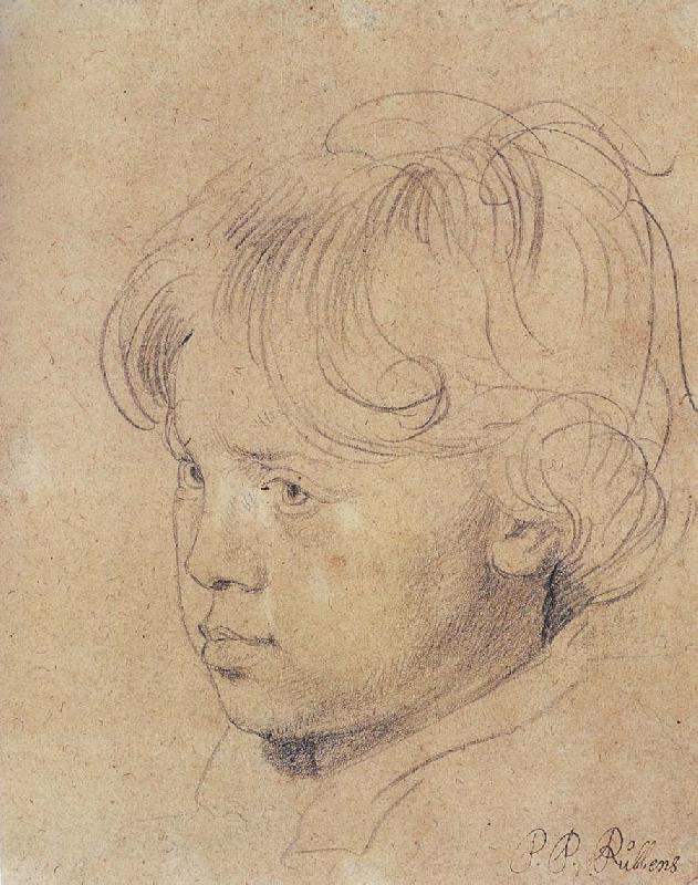 Peter Paul Rubens Portrait of Younger Rubens